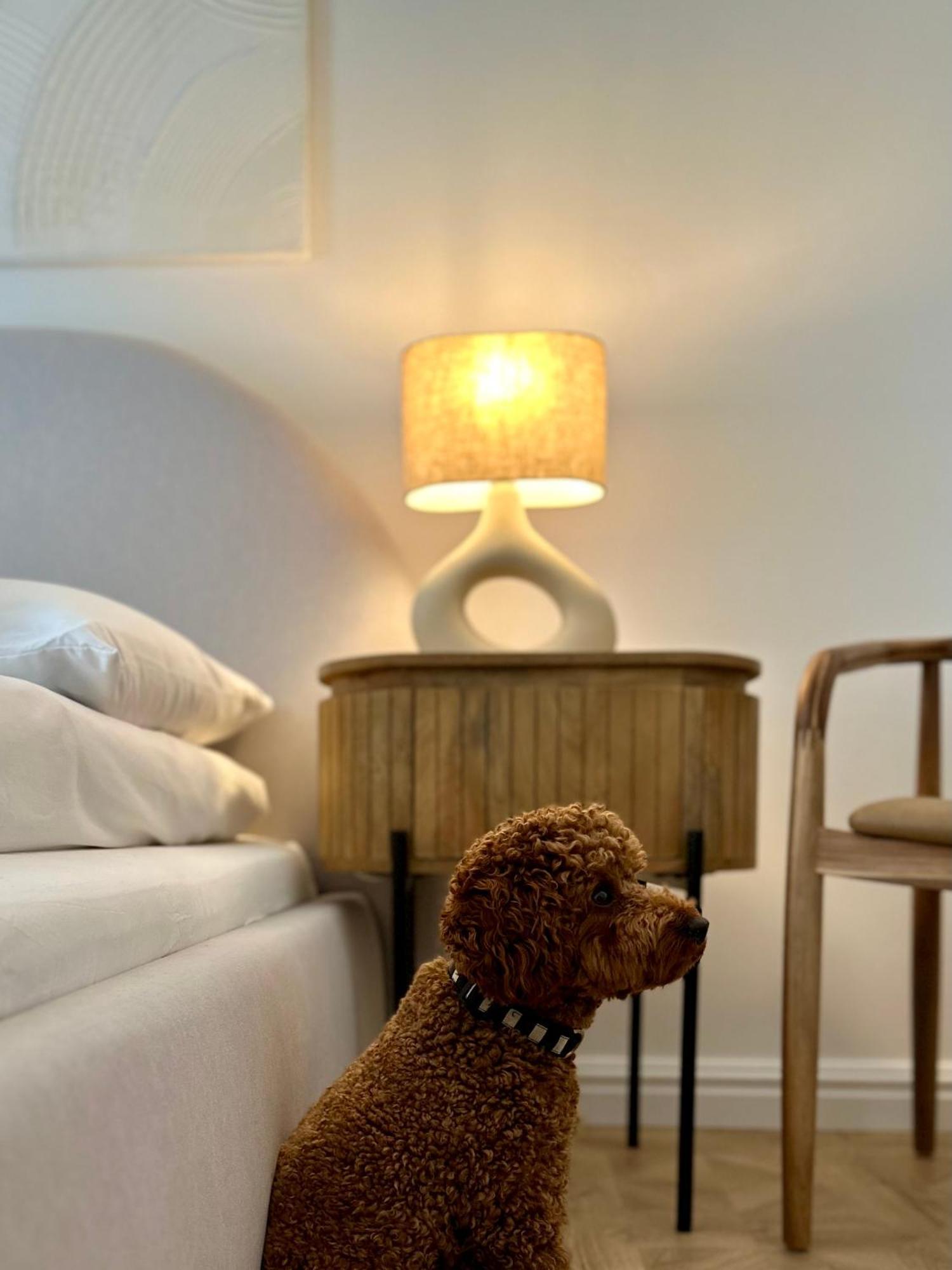 Pure Apartment N°1 ヴロツワフ エクステリア 写真